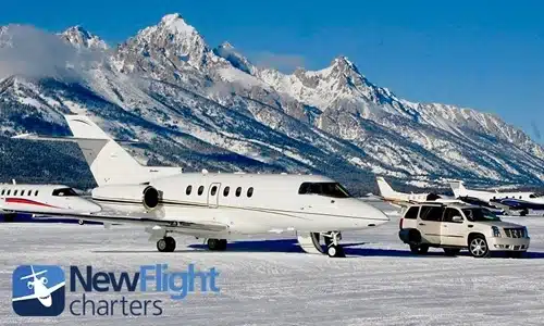 Scottsdale Business & Leisure Insights